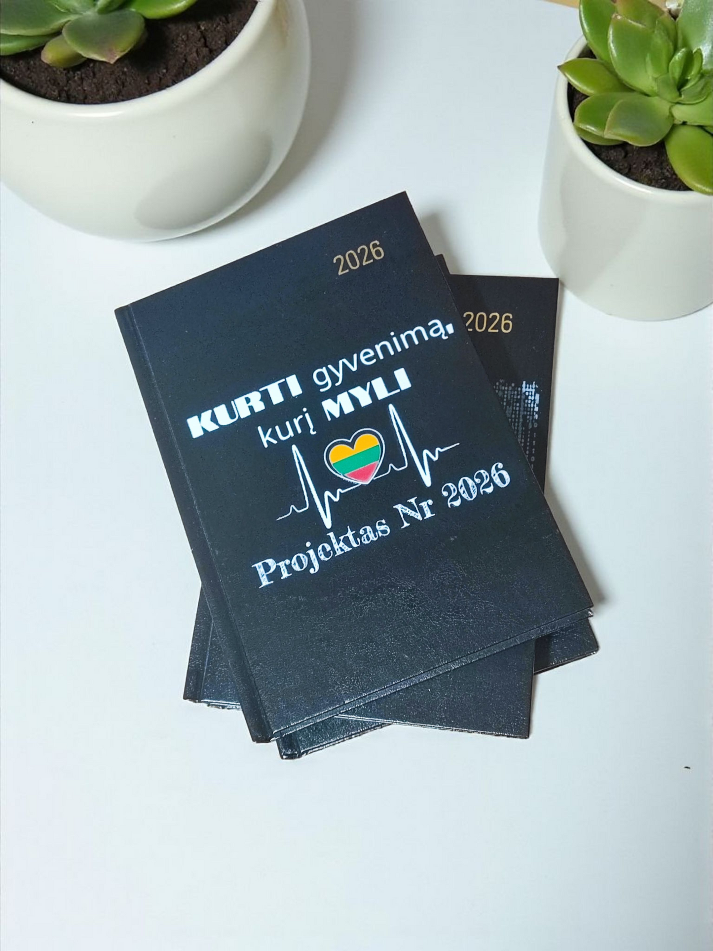 NOTEBOOKS 2026 DIARY (Hard cover) "Project 2026"